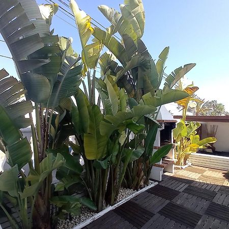 Villa Juncos Can Furnet 외부 사진